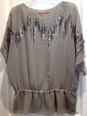 Beautiful XL Gray Ellen Tracy Sequined Blouse(NWOT)